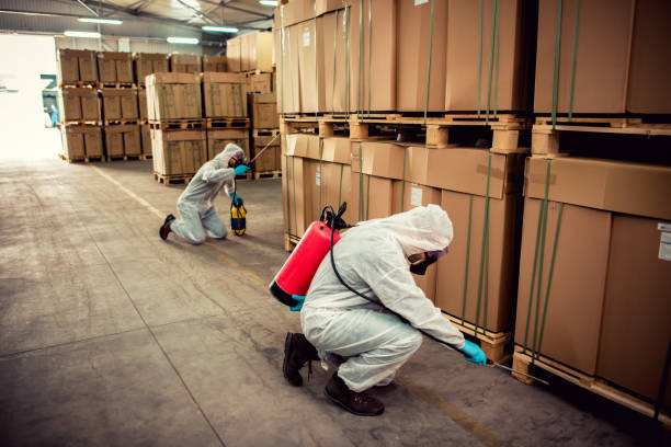 Best Best Pest Control Near Me  in Prague, OK