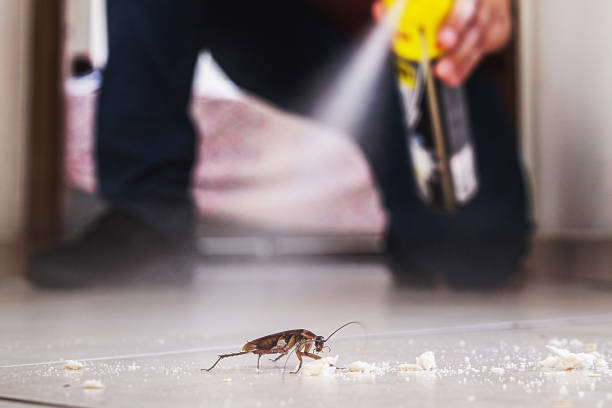 Best Commercial Pest Control Services  in Prague, OK